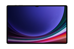 Samsung Galaxy Tab S9 Ultra Wi-Fi (SM-X910) 14.6