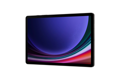 Samsung Galaxy Tab S9 Wi-Fi + 5G (SM-X716) 11