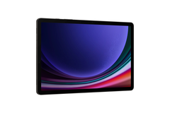 Samsung Galaxy Tab S9 Wi-Fi + 5G (SM-X716) 11