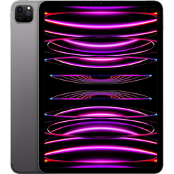 Apple iPad Pro Wi-Fi + Cellular 11" 2TB - Space Grey (MNYL3X/A)