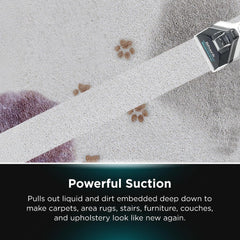 Shark StainStriker Portable Carpet & Upholstery Cleaner - White