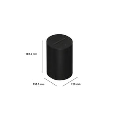 Sonos Era 100 SL Multi-Room Wireless Smart Speaker - Black