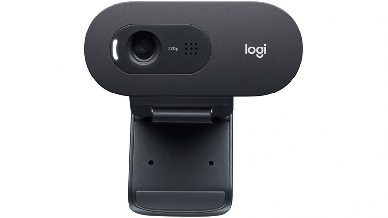 Logitech C505 HD Webcam