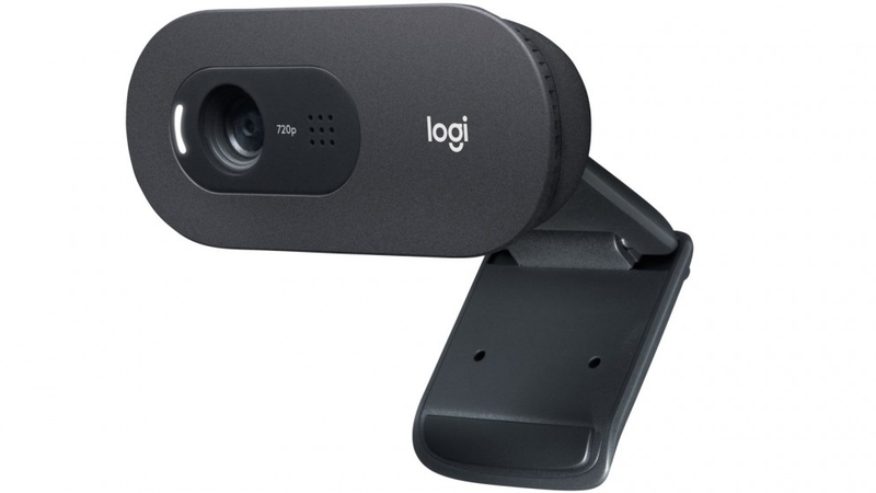 Logitech C505 HD Webcam